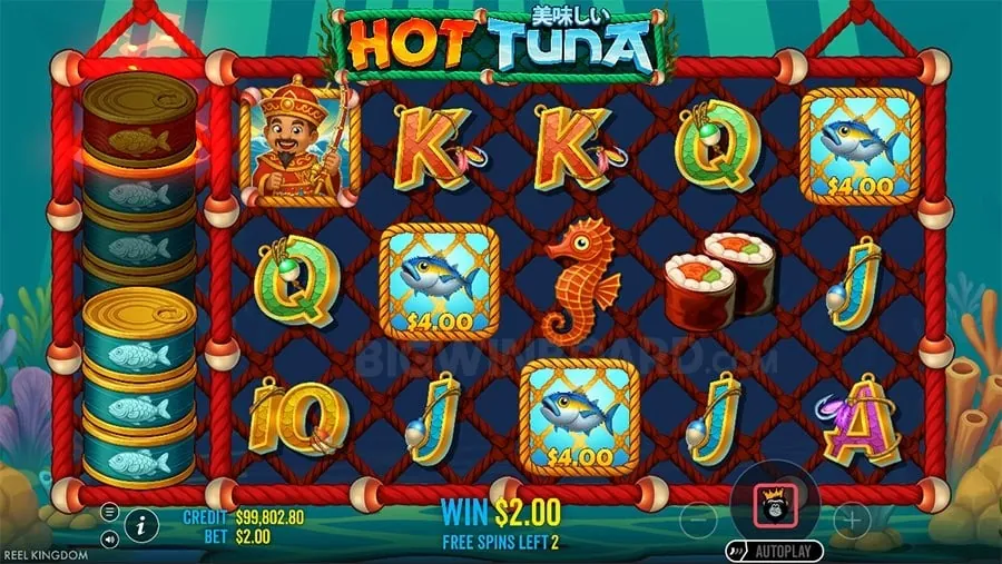 Daily Deposit Bonus